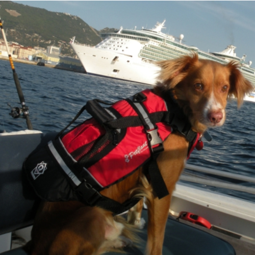 Crewsaver Crewsaver Hundeweste Größe S-XL