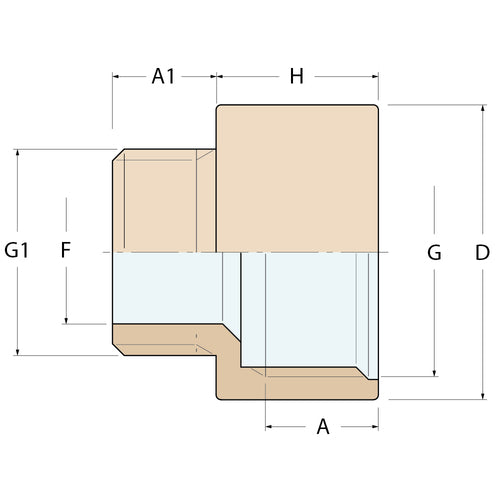 Guidi reduzierte Verlängerung MF-G 1/2'' auf 3/8''