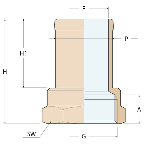 Guidi Schlauchverbinder „Export“ F - G 1/4'' P 12