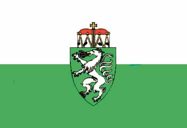 Allpa Steiermark Flagge 20x30cm
