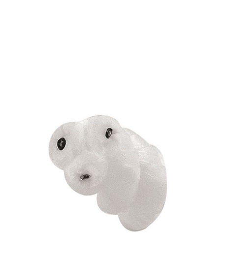 PLASTIMO Polyesterleine mit Bleieinlage, D = 8 bis 14 MM