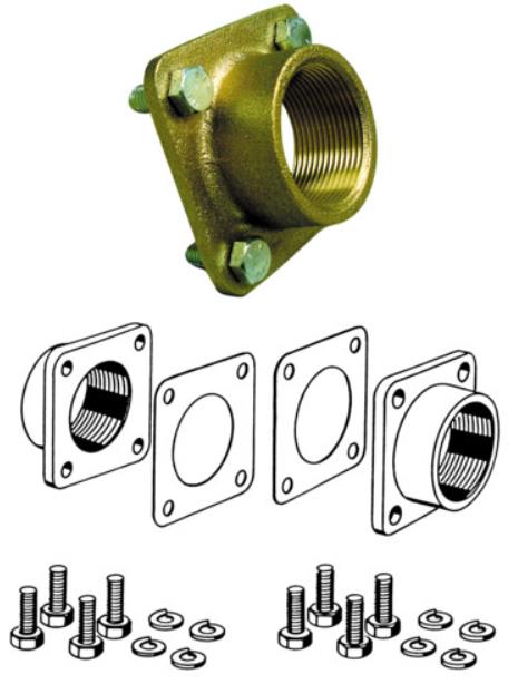 Johnson Flansch R11/2' für F8 (2 Stk.)