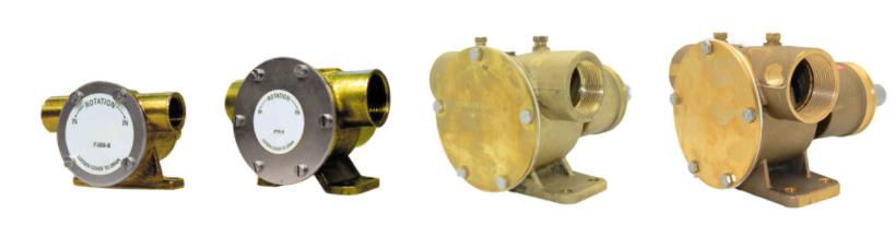 Johnson Impellerpumpe F4B-8 mit mech. Dichtg.
