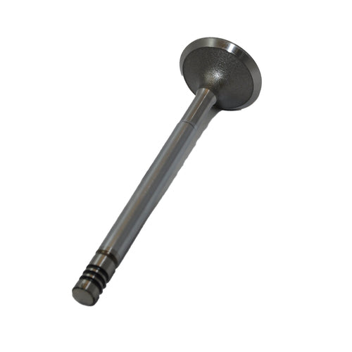 Bukh Einlaß - Ventil DV10/20 (39113)