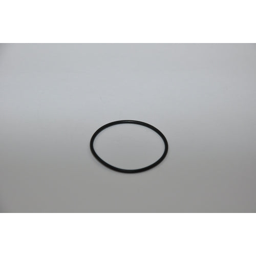 Johnson O-Ring (05-06-618)