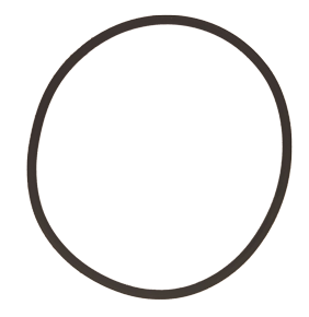 Allpa O-Ring Für Abdichtung Von Kühlwasserfilter 090150/325