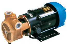 Allpa Zentrifugalpumpe A66b, 12v/15a, 17l/Min, Selbstansaugend Bis 5,5m, Förderhöhe Max. 18m, Ø20mm