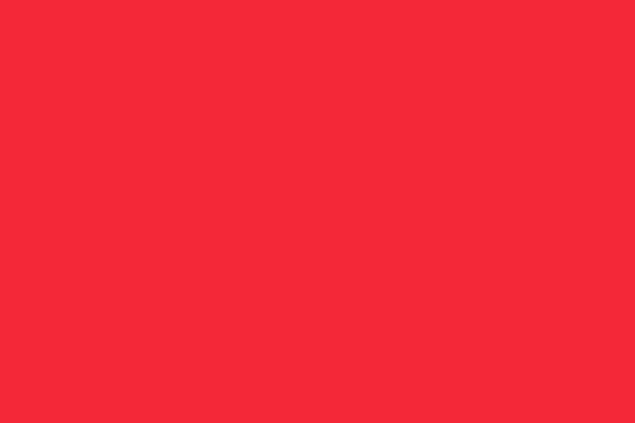 Allpa Rote Regatta Flagge 30x45cm