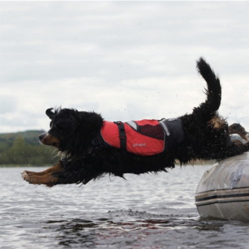 Crewsaver Crewsaver Hundeweste Größe S-XL