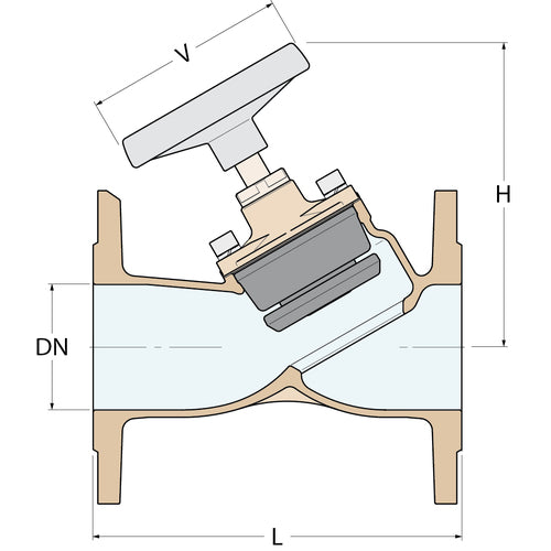 Guidi Antihaft-Ventil - DN 100 PN 6