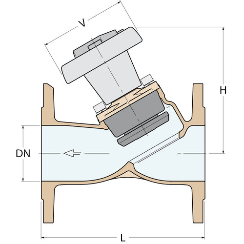 Guidi Antihaft-Ventil - DN 100 PN 6