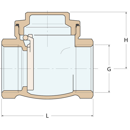 Guidi Rückschlagventil - G 2''