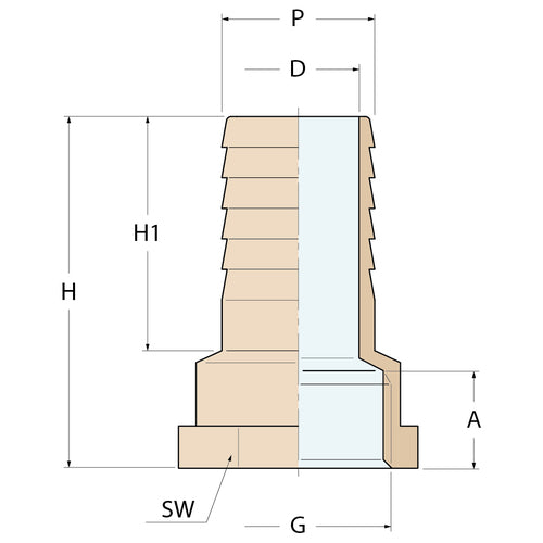 Guidi Schlauchverbinder F - G 3/8'' P 14