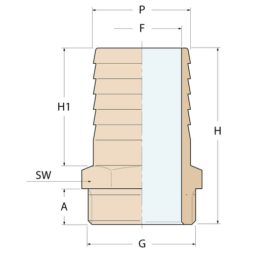 Guidi Schlauchverbinder M - G 1''1/2 P 45