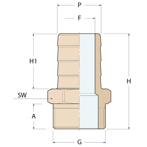 Guidi Schlauchverbinder M - G 3/4'' P 25