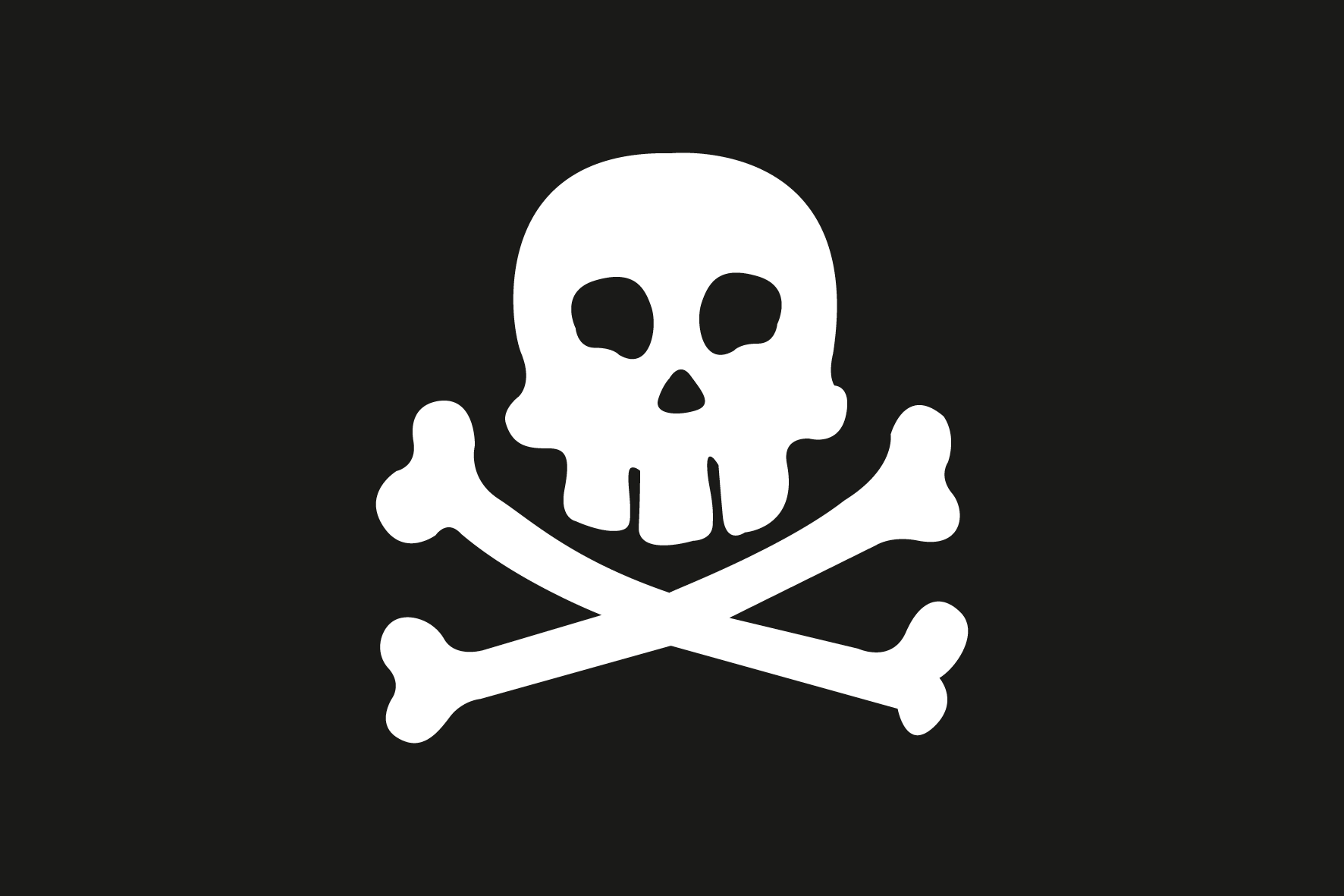 Allpa Piraten Flagge 50x75cm