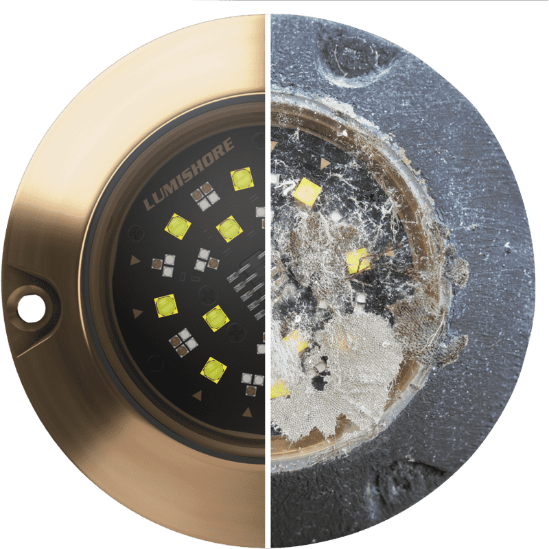 Propspeed Lightspeed Box Kit 15ml