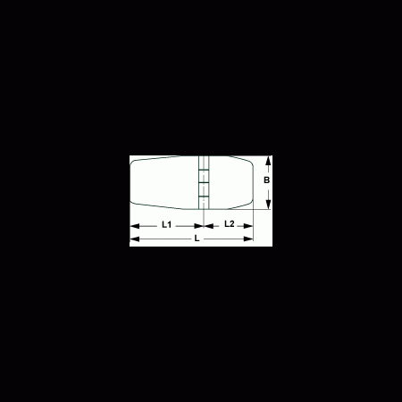 Scharnier AISI316 40x60mm