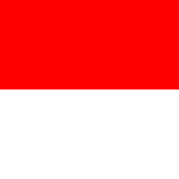 Allpa Solothurn Flagge 20x30cm