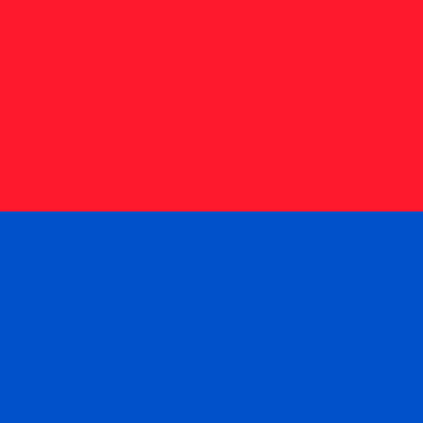 Allpa Tessin Flagge 20x30cm