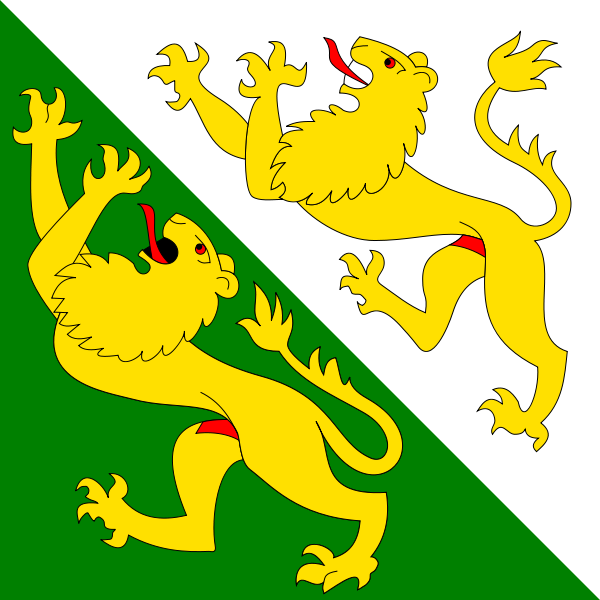 Allpa Thurgau Flagge 20x30cm