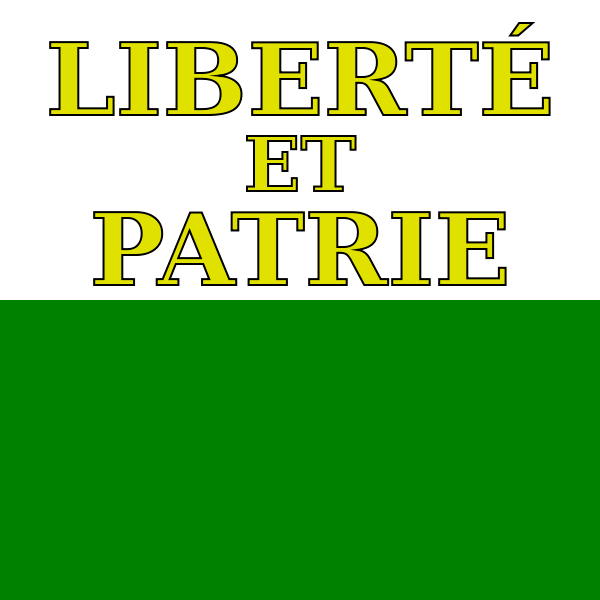 Allpa Waadt Flagge 20x30cm