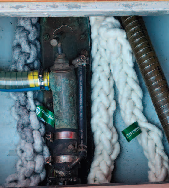 Frischwasser.tech Naturhaar- Bilgenfilter zopfform