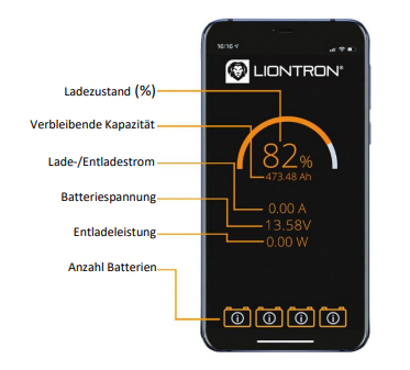 Liontron Lithium LiFePO4 LX BMS 12,8V 100Ah