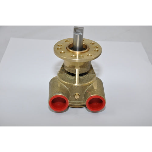 Johnson Impellerpumpe F5B-9