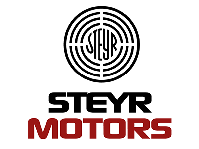 Steyr-Reparatur gemäß folgenden Angaben: