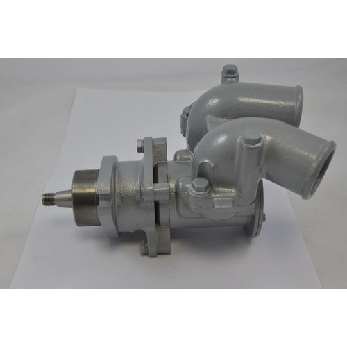 Steyr ROHWASSERPUMPE (LACKIERT)